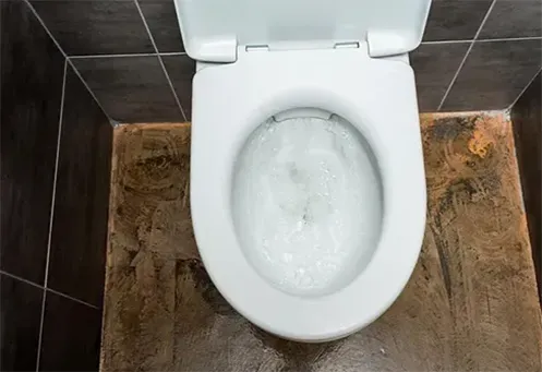Desentupimento de Vaso Sanitário em Itanhaém